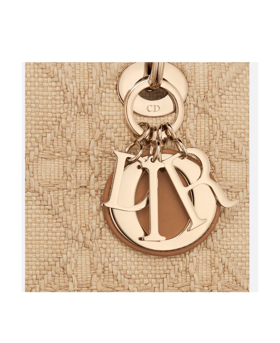Christian Dior Logo Plaque Top Handle Bag
