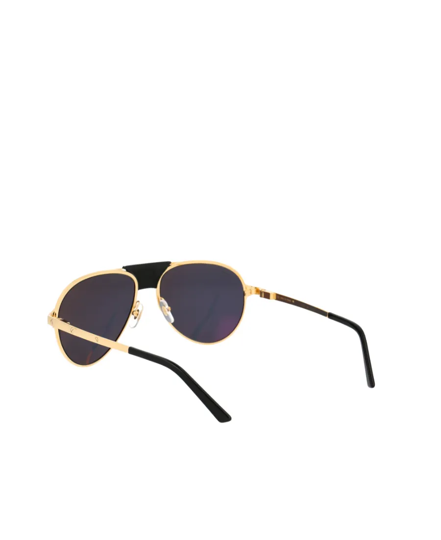 Aviator Sunglasses