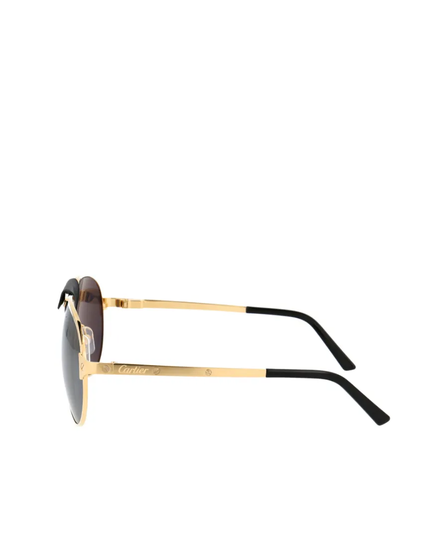 Aviator Sunglasses