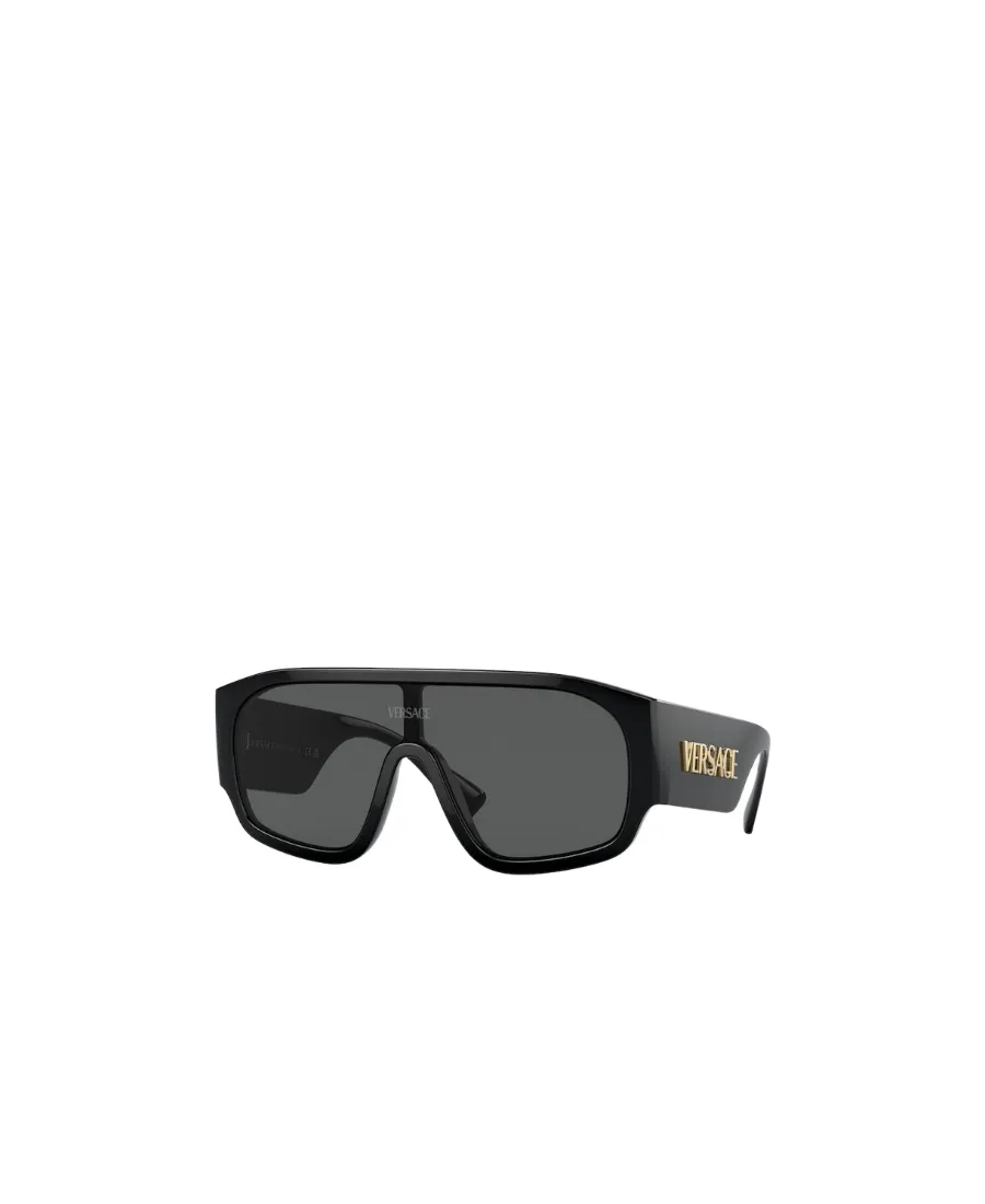 Versace Eyewear Oversized Frame Sunglasses