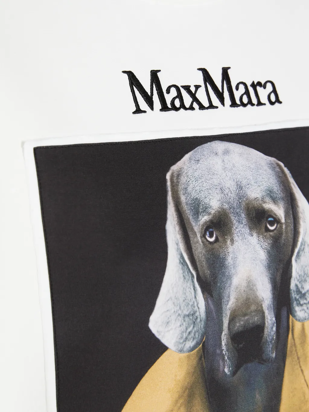 Max Mara Logo Embroidered Crewneck Sweatshirt