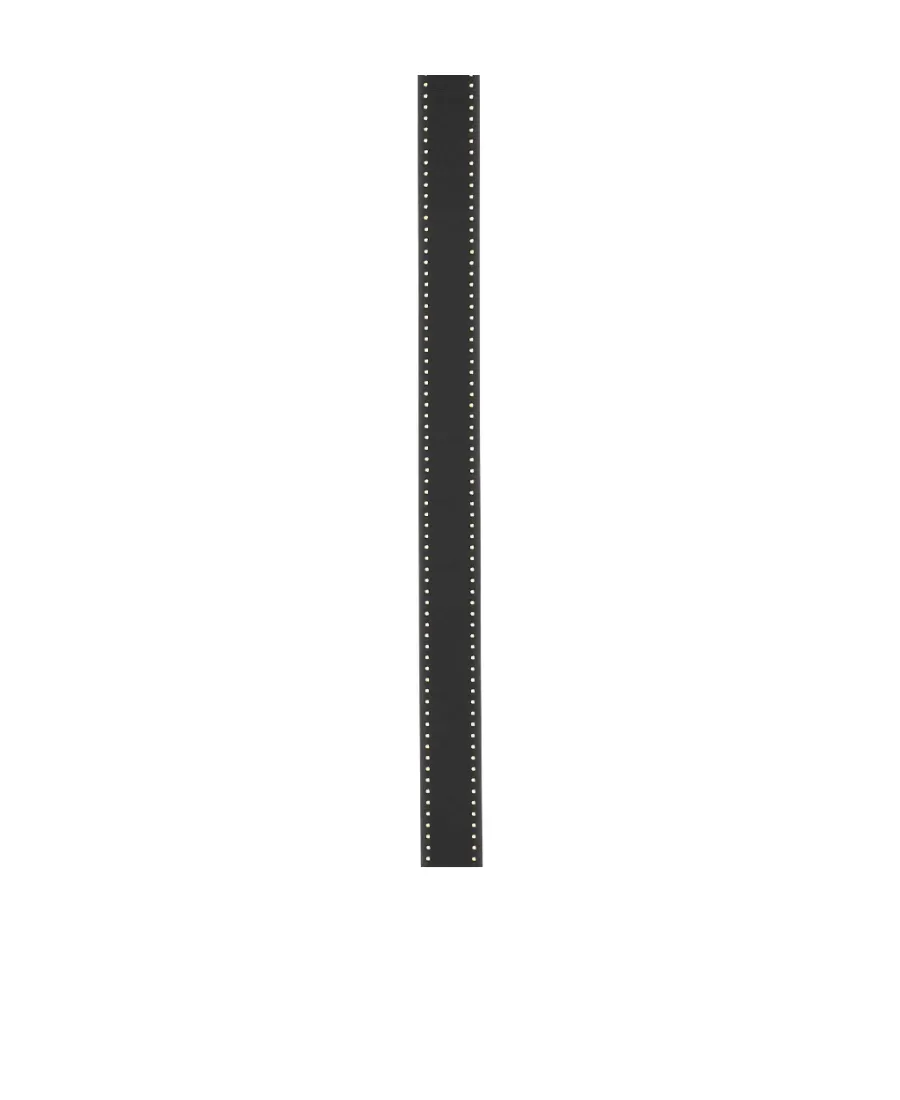 Isabel Marant Logo Detailed Belt