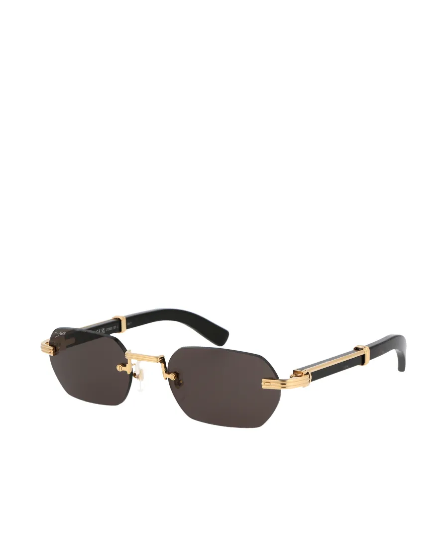 Cartier Rectangle Frame Sunglasses