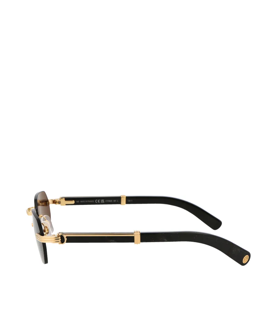 Cartier Rectangle Frame Sunglasses