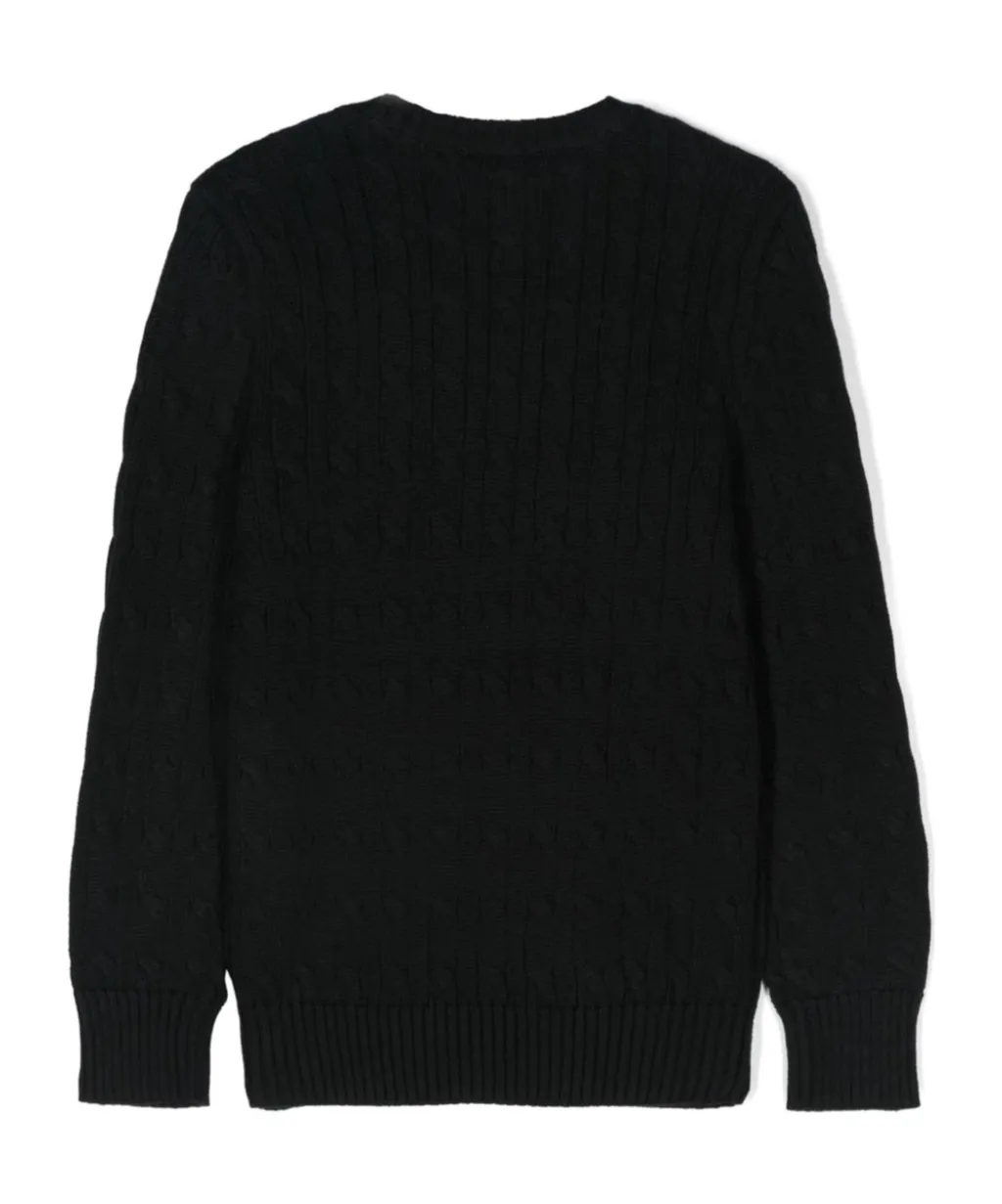 Polo Pony-Embroidered Sweater