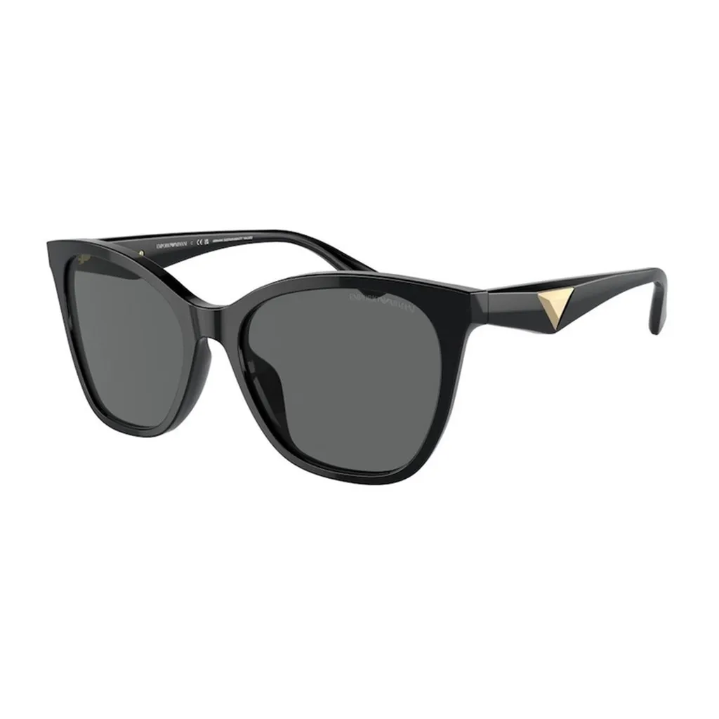 Full Frame Sunglasses