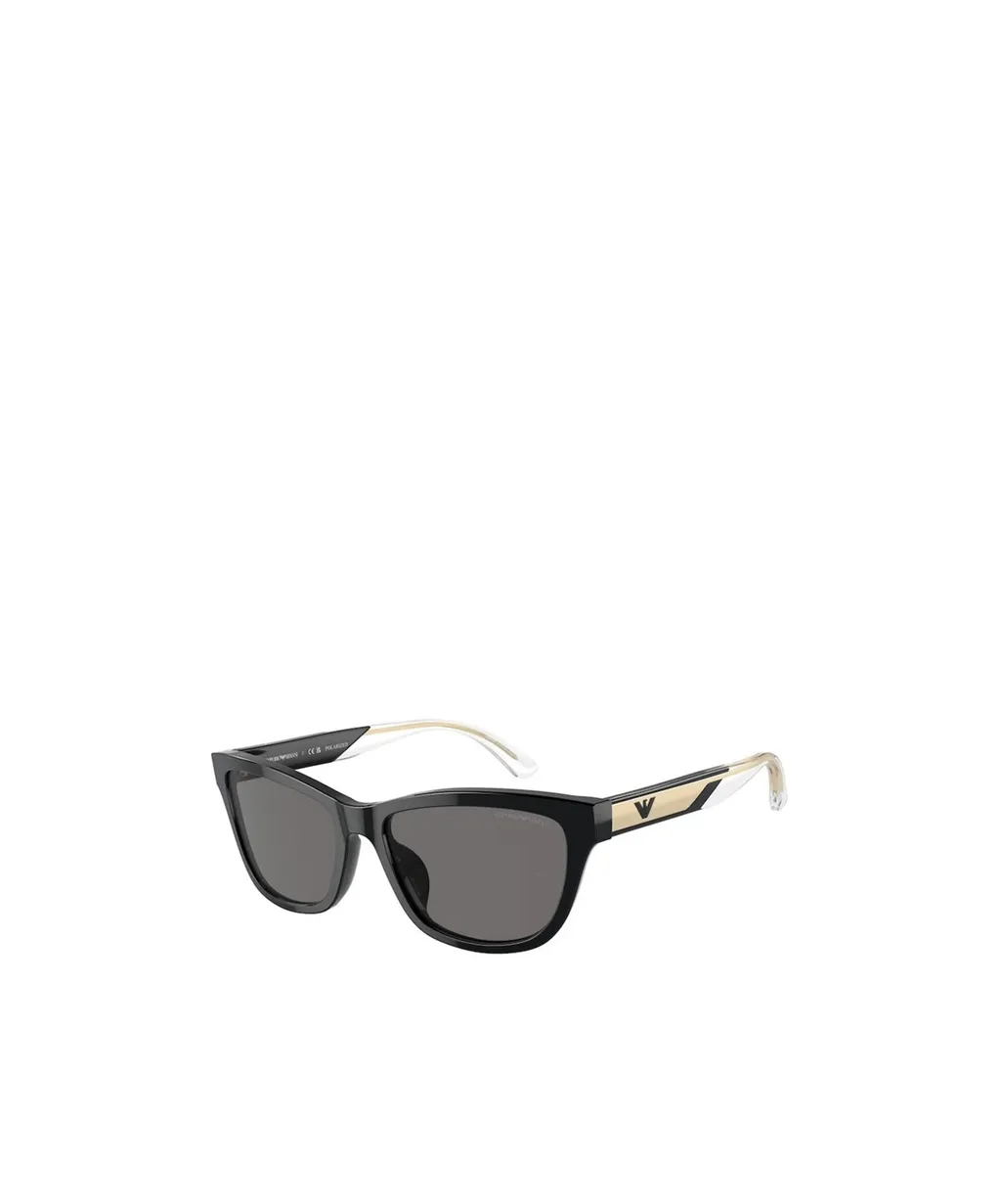 Full Frame Sunglasses