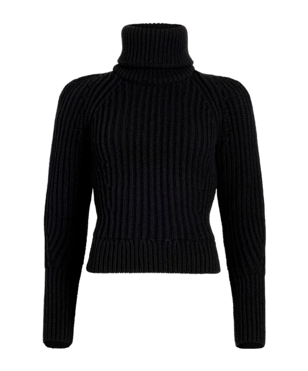 Patou Turtleneck Knit Sweater
