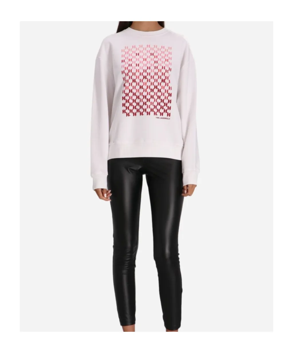 Long-Sleeved Sweater