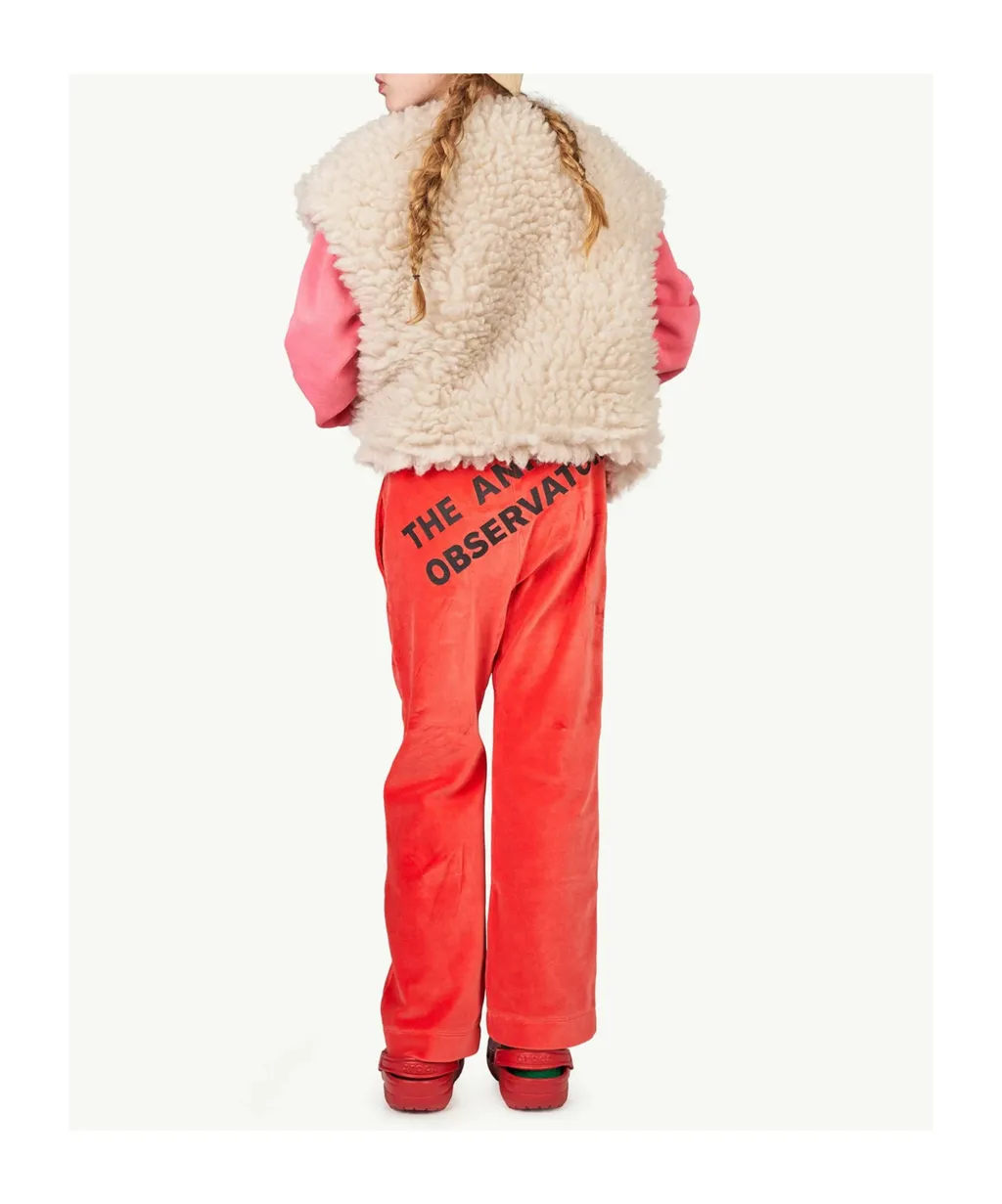 Crew Neck Printed Sweatshirt