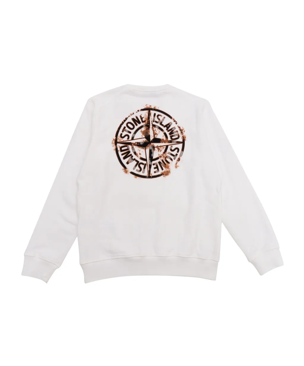 Stone Island Junior Logo Printed Jersey Sweatshirt