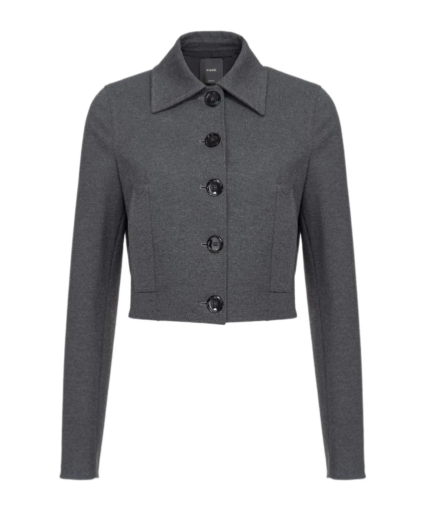 Pinko Short Single-Breasted Stitched Jacket