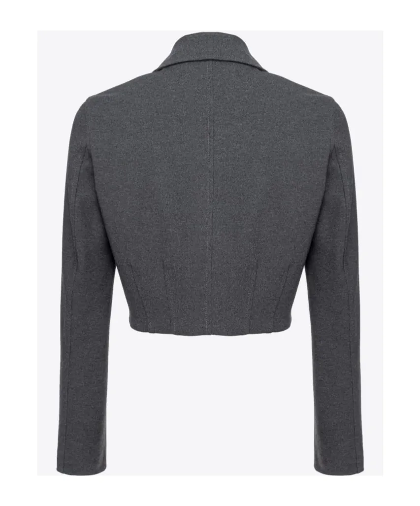Pinko Short Single-Breasted Stitched Jacket