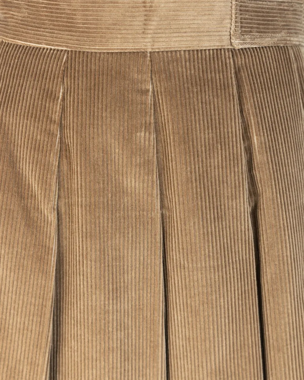 Weekend Max Mara Pleated Mini Skirt