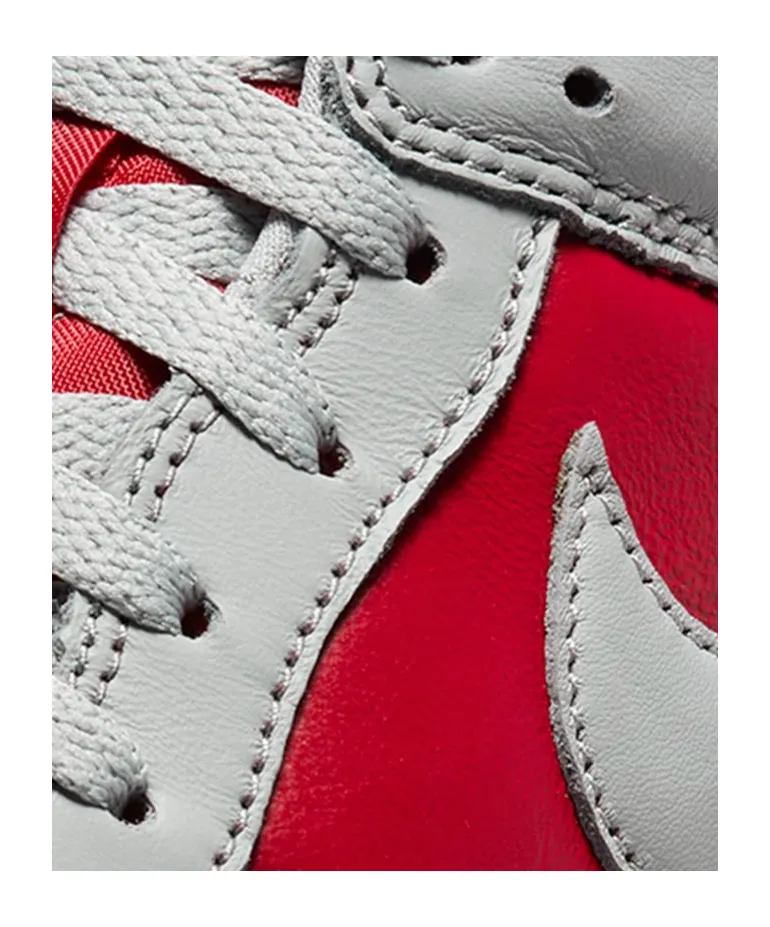 Dunk Low Leather Sneakers