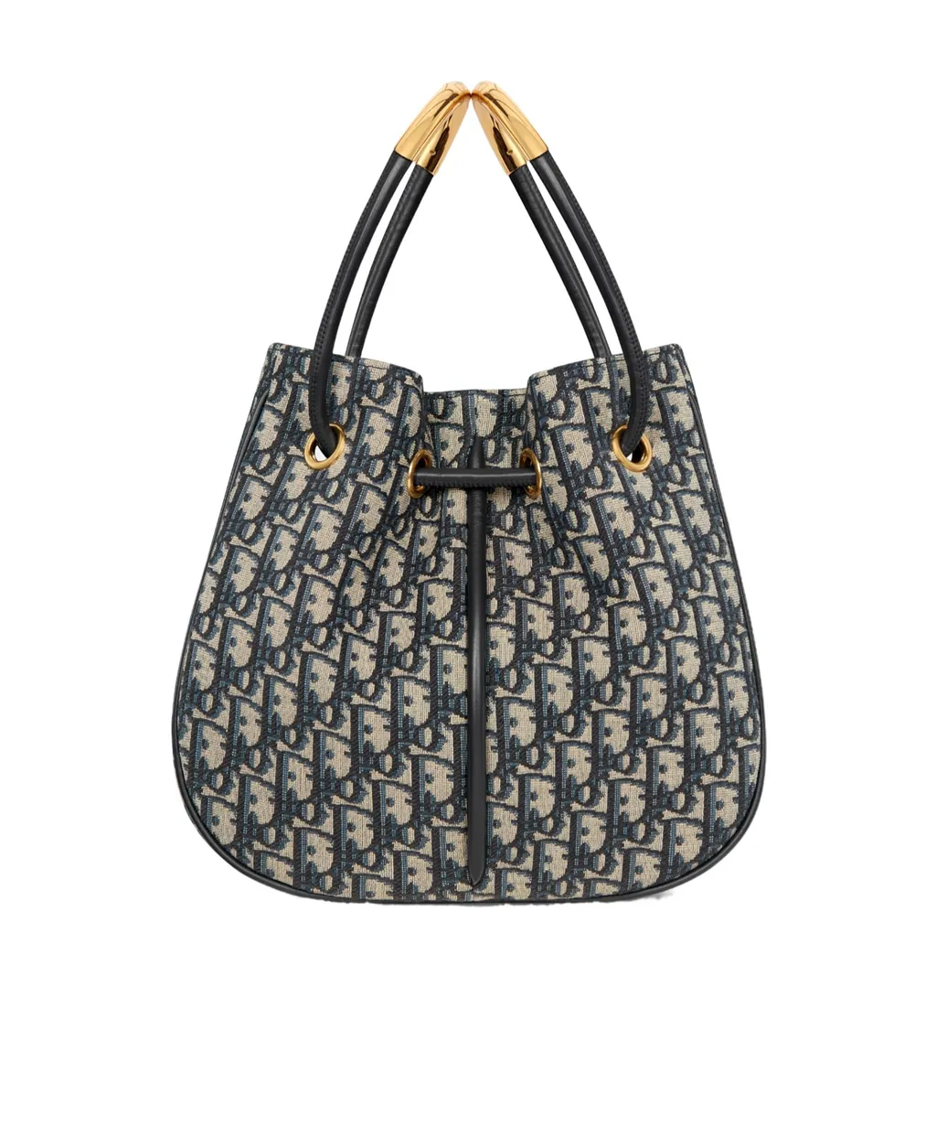 Medium Dior Nolita Bag
