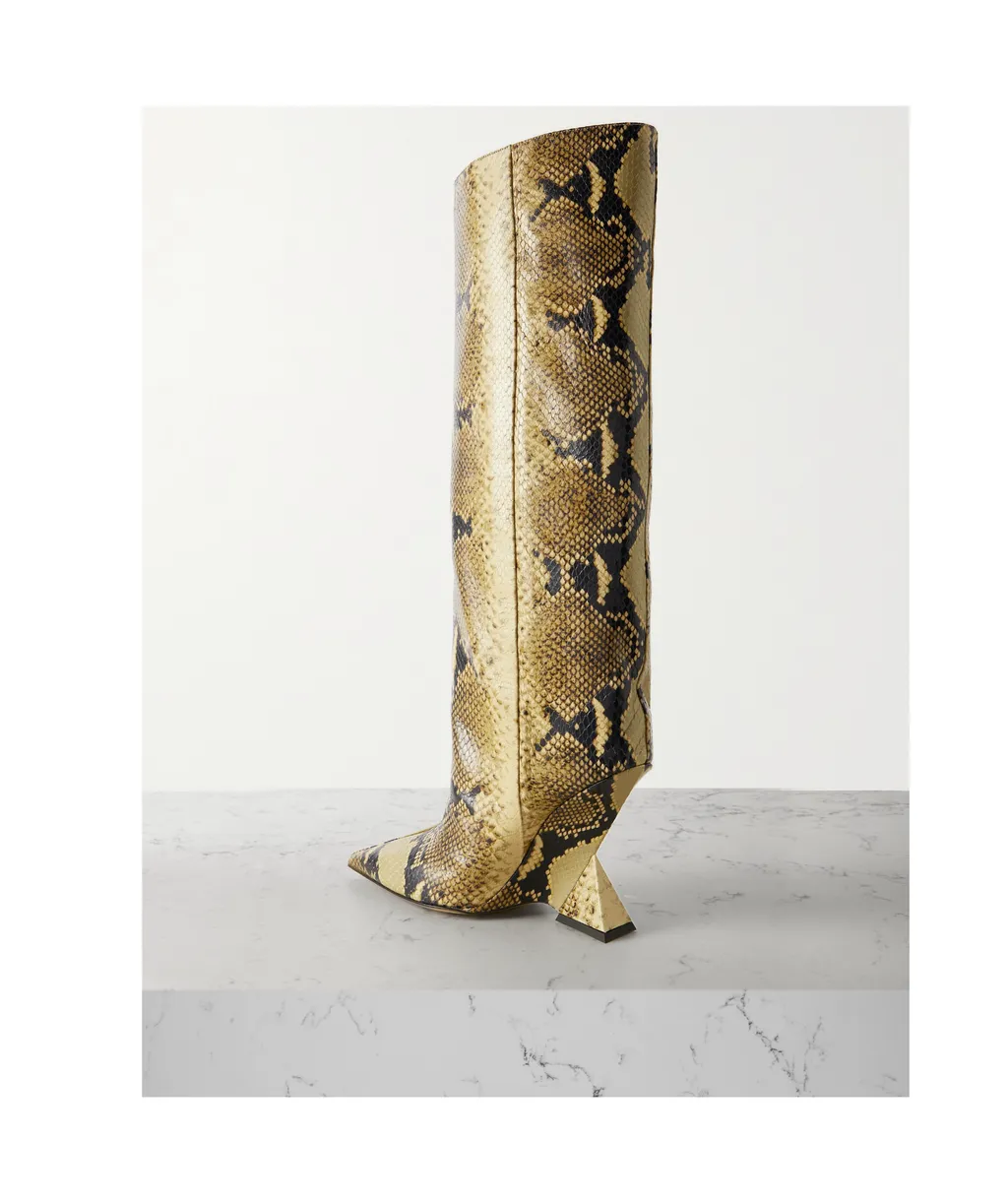 Pointed Boots