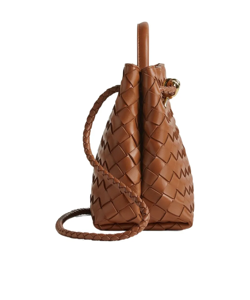 Bottega Veneta Andiamo Small Tote Bag