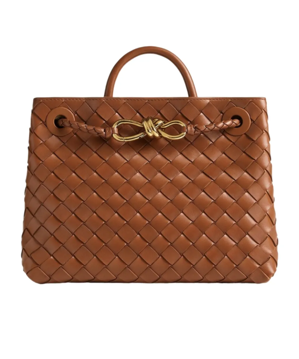 Bottega Veneta Andiamo Small Tote Bag
