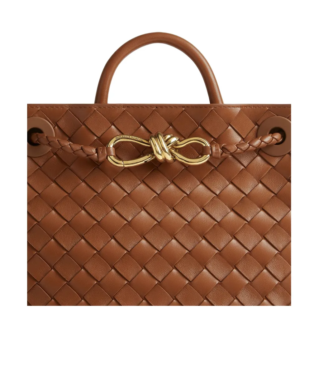 Bottega Veneta Andiamo Small Tote Bag