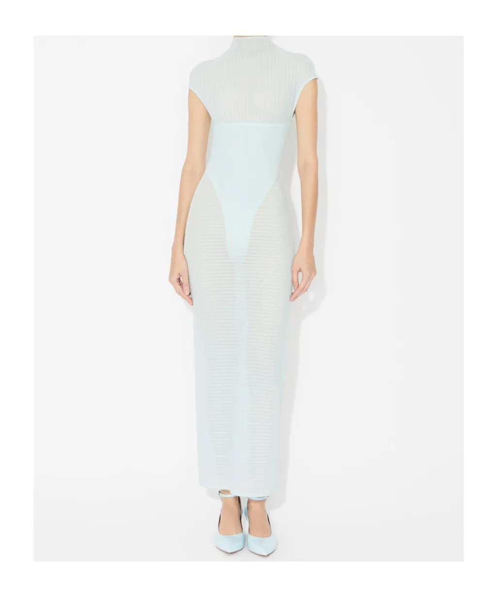 Semi-Sheer Corset Maxi Dress