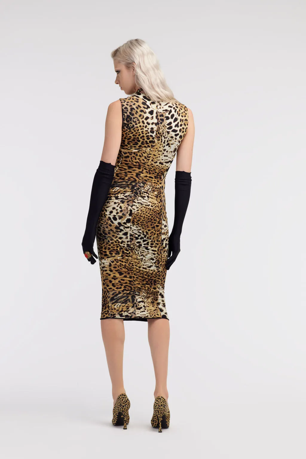 Roberto Cavalli Print Dress