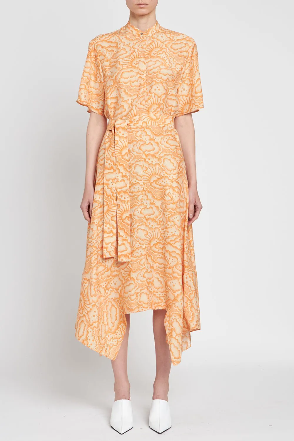 Pattern Dress