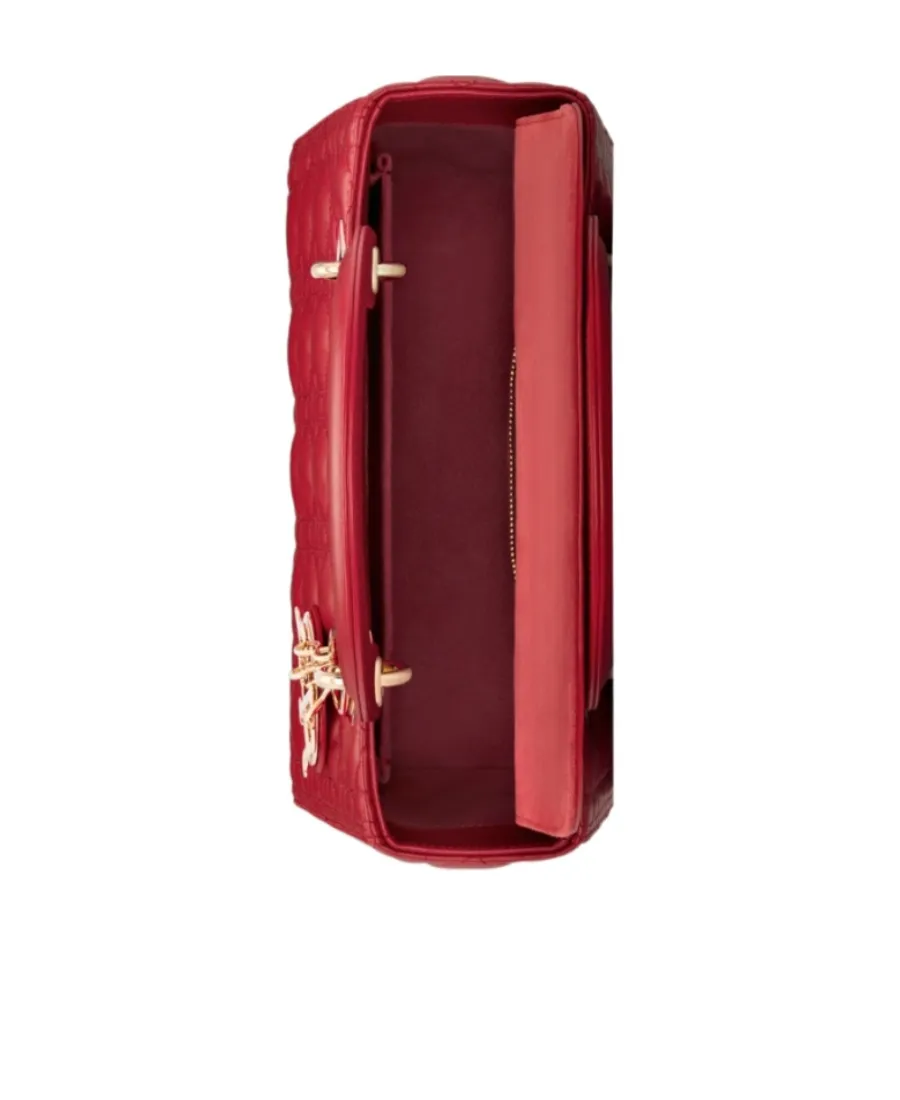 Medium Lady Dior Bag
