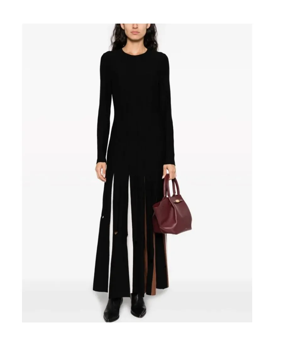 Long Sleeved Dress
