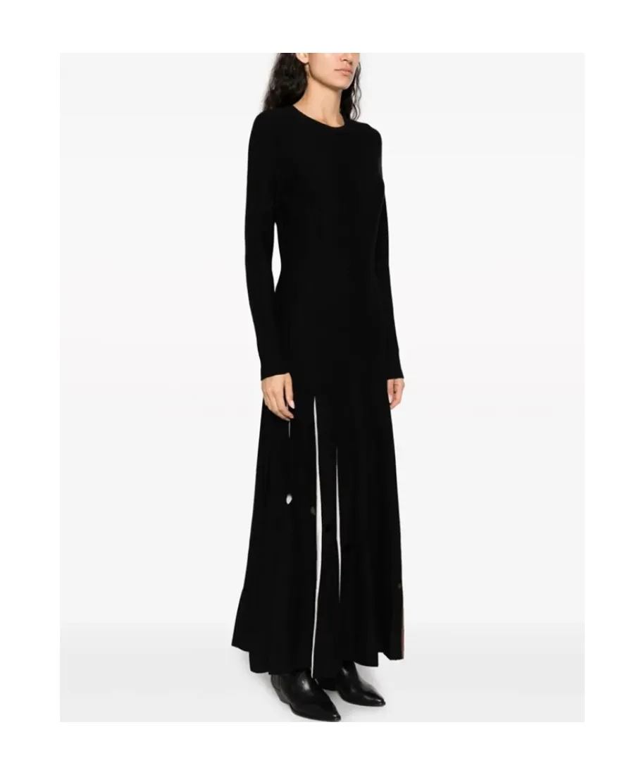 Long Sleeved Dress