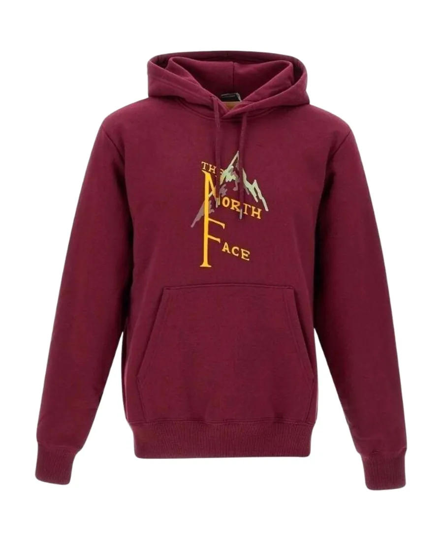 The North Face Logo Printed Drawstring Hoodie