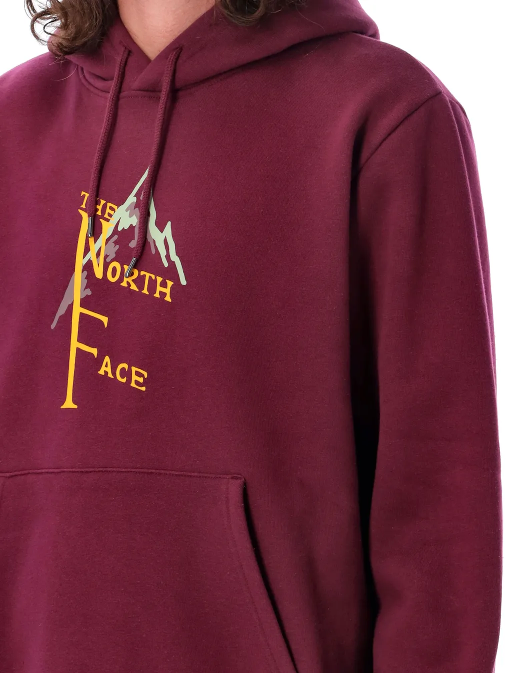 The North Face Logo Printed Drawstring Hoodie