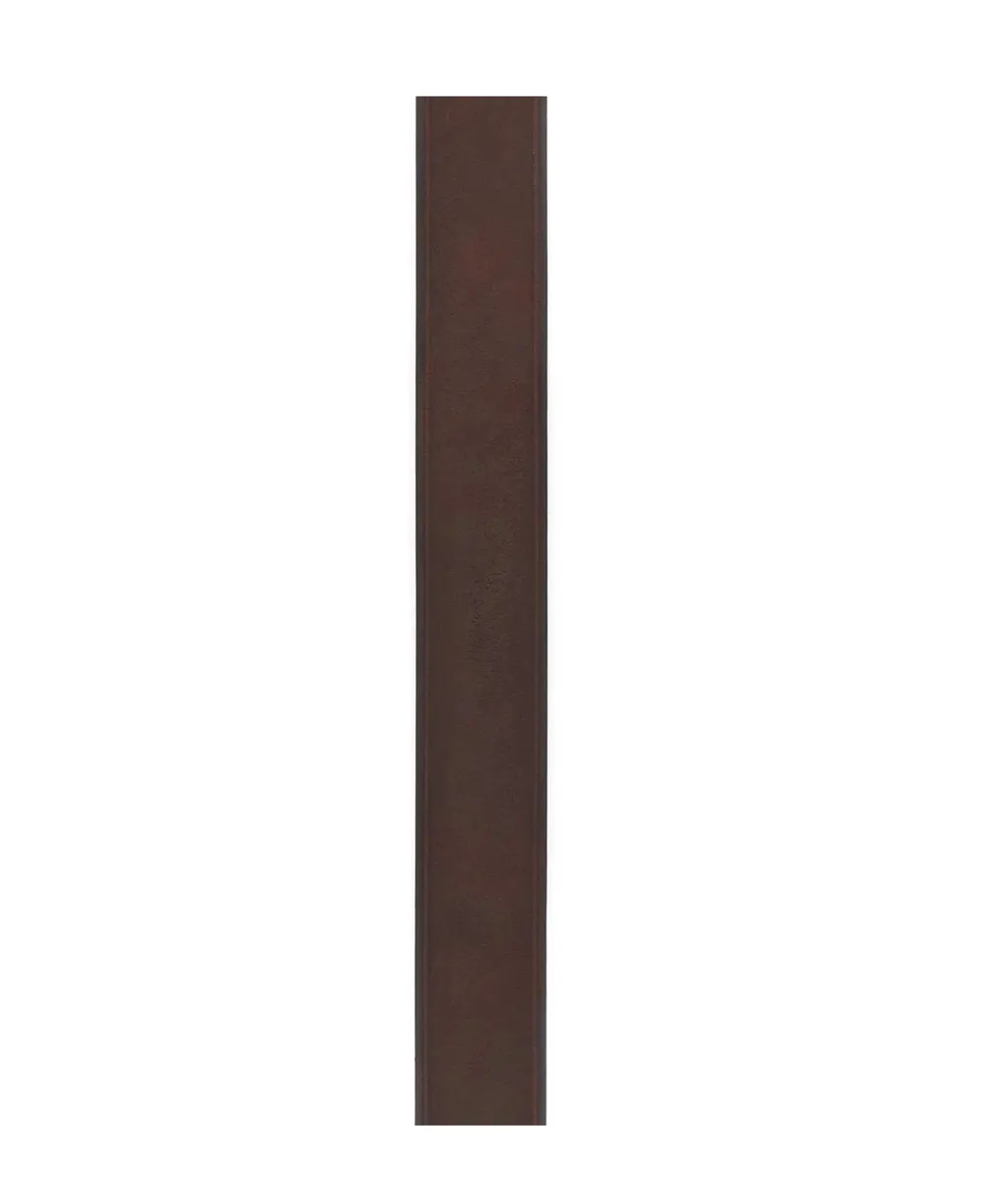 Dsquared2 Logo-Plaque Buckled Belt
