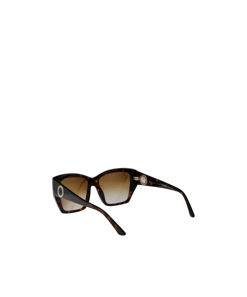 Full Frame Sunglasses