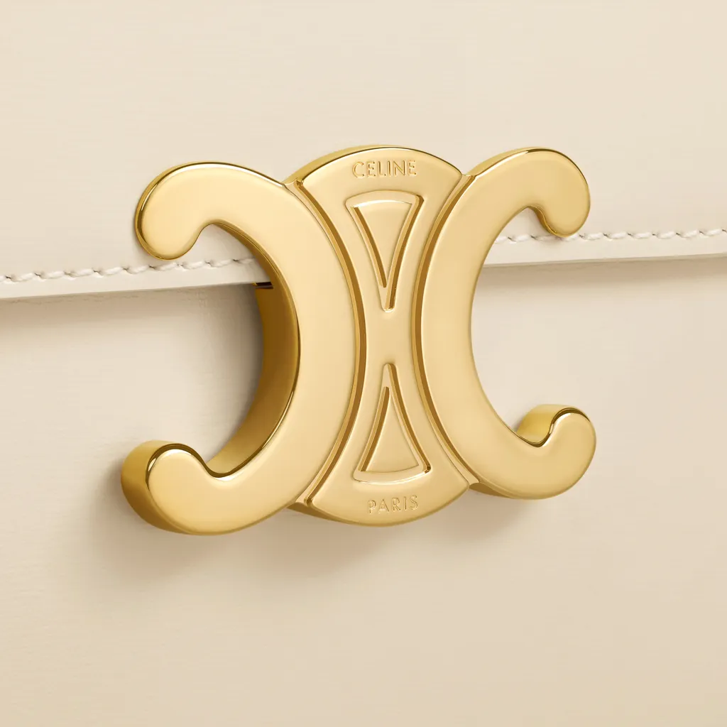 College Triomphe Bag In Shiny Calfskin