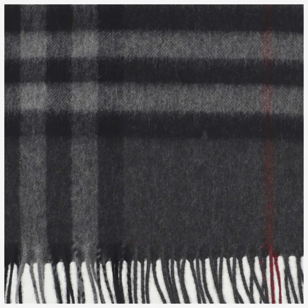 Burberry Checked Fringed-Edge Scarf
