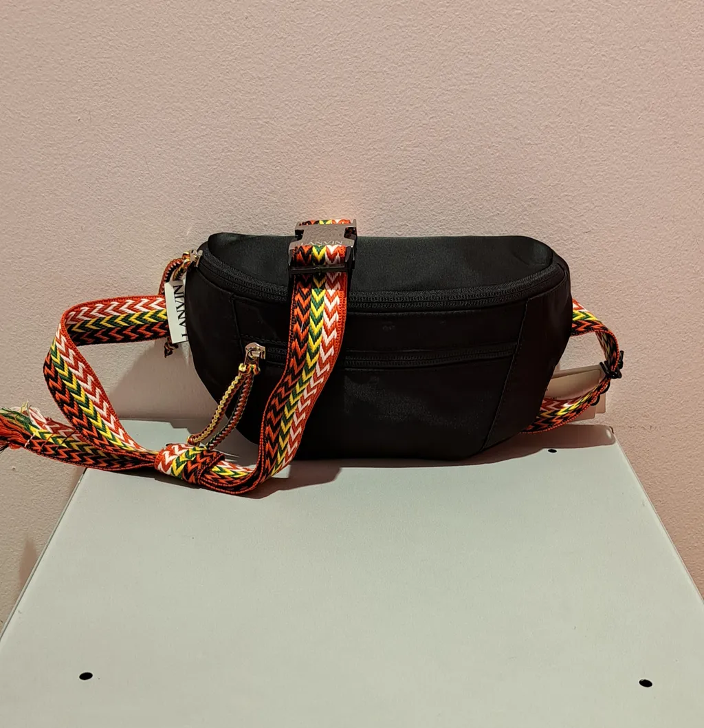 Lanvin Zigzag Embroidered Small Curb Belt Bag