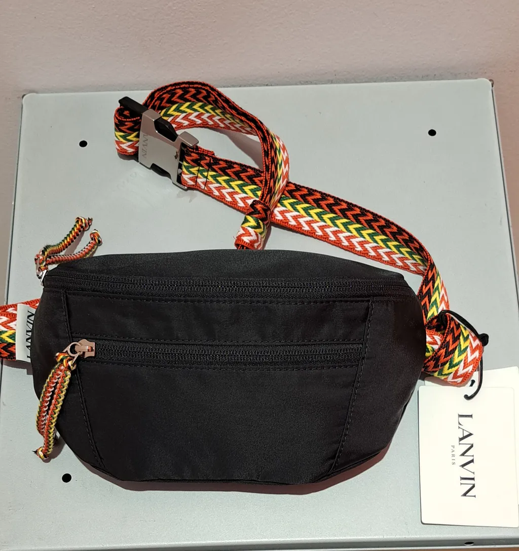 Lanvin Zigzag Embroidered Small Curb Belt Bag