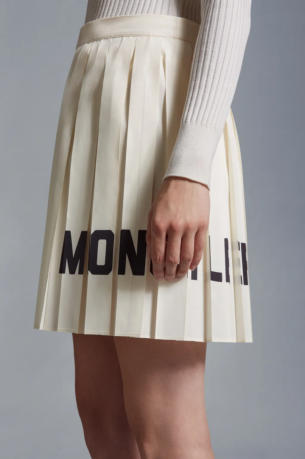 Pleated Taffeta Skirt