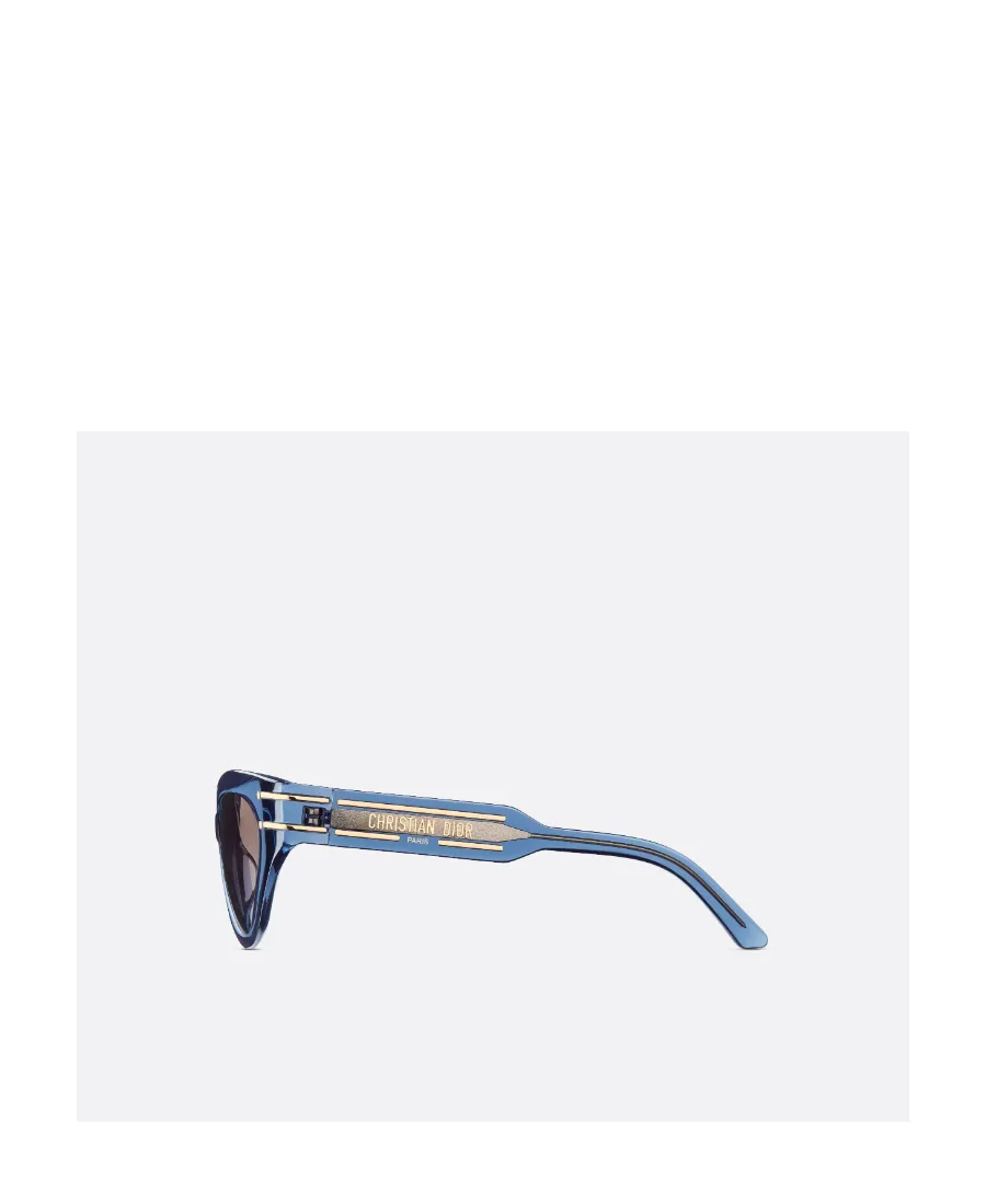 Diorsignature B7I