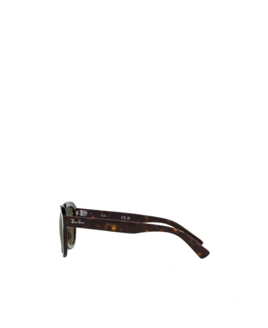 Ray-Ban Erik Square Frame Sunglasses