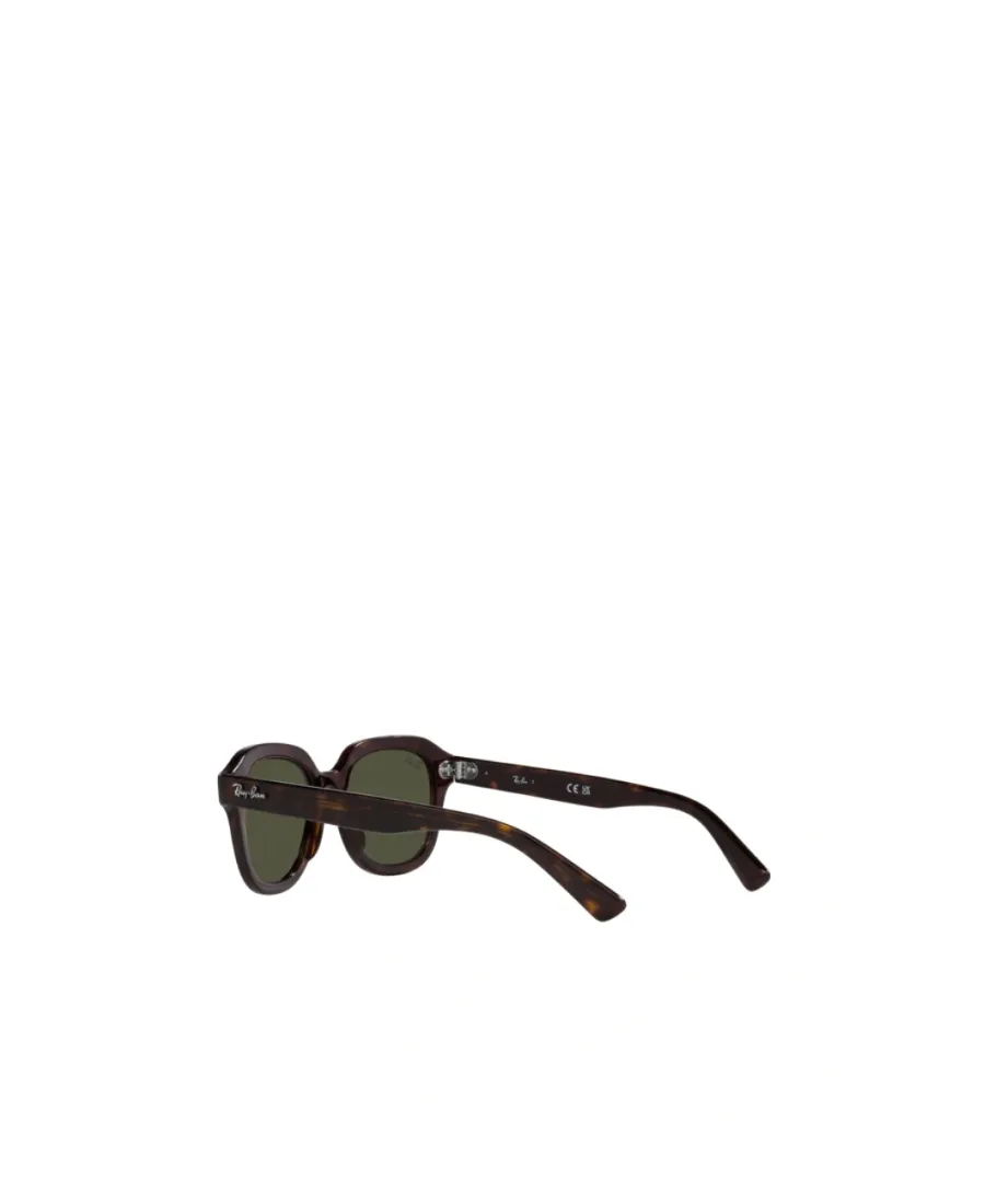 Ray-Ban Erik Square Frame Sunglasses