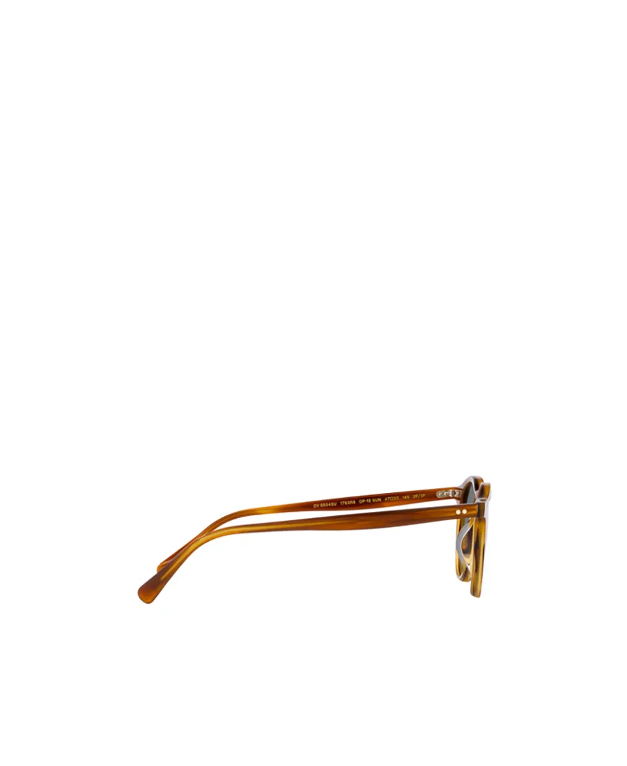 Desmon Sun Round-Frame Sunglasses