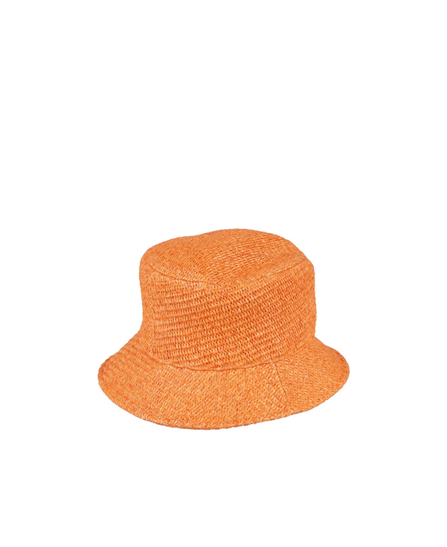 Logo Hat