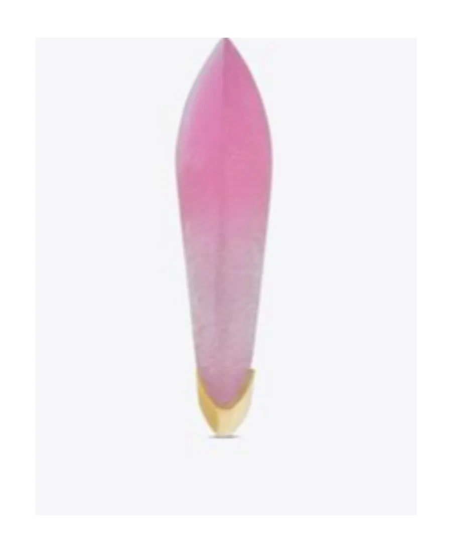 Saint Laurent High Arty Circle Ring
