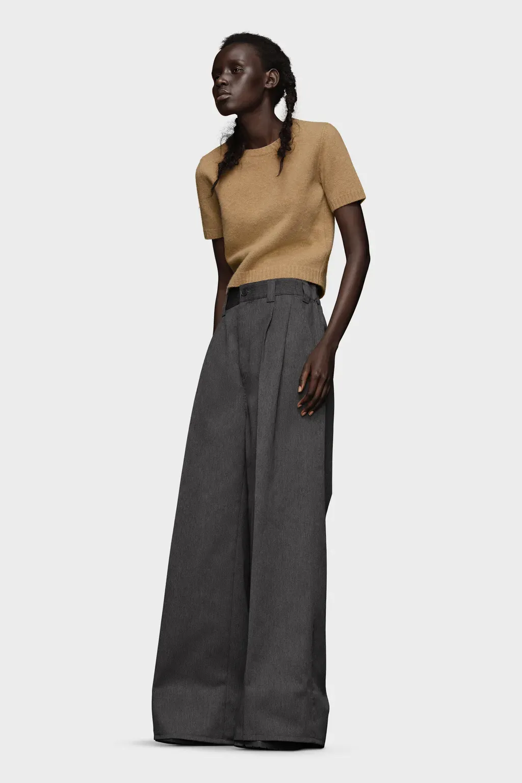 Pleated Trousers