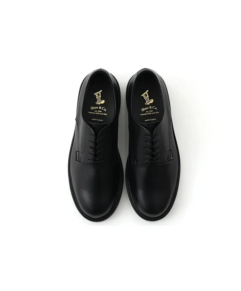Plain-Toe Gtx_Black