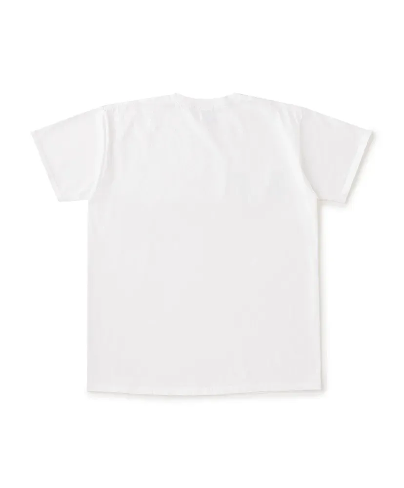 Not Apple Tee Melon - Fruit Of The Loom Edition