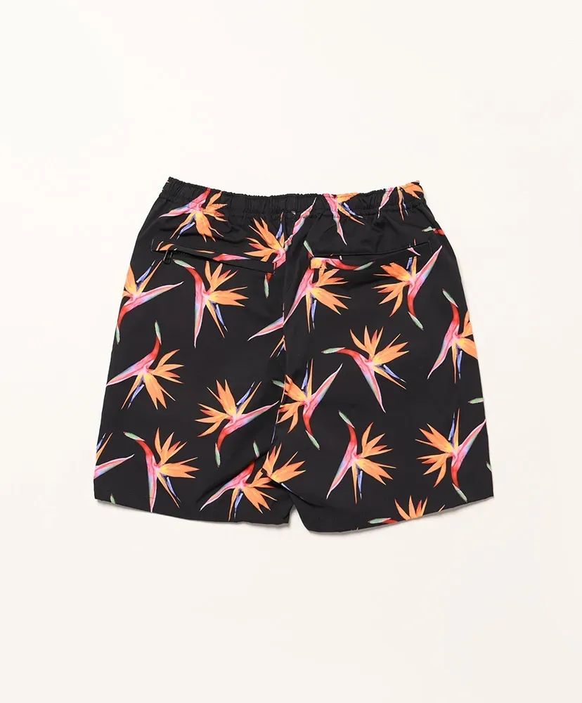 Birds Of Paradise Beach