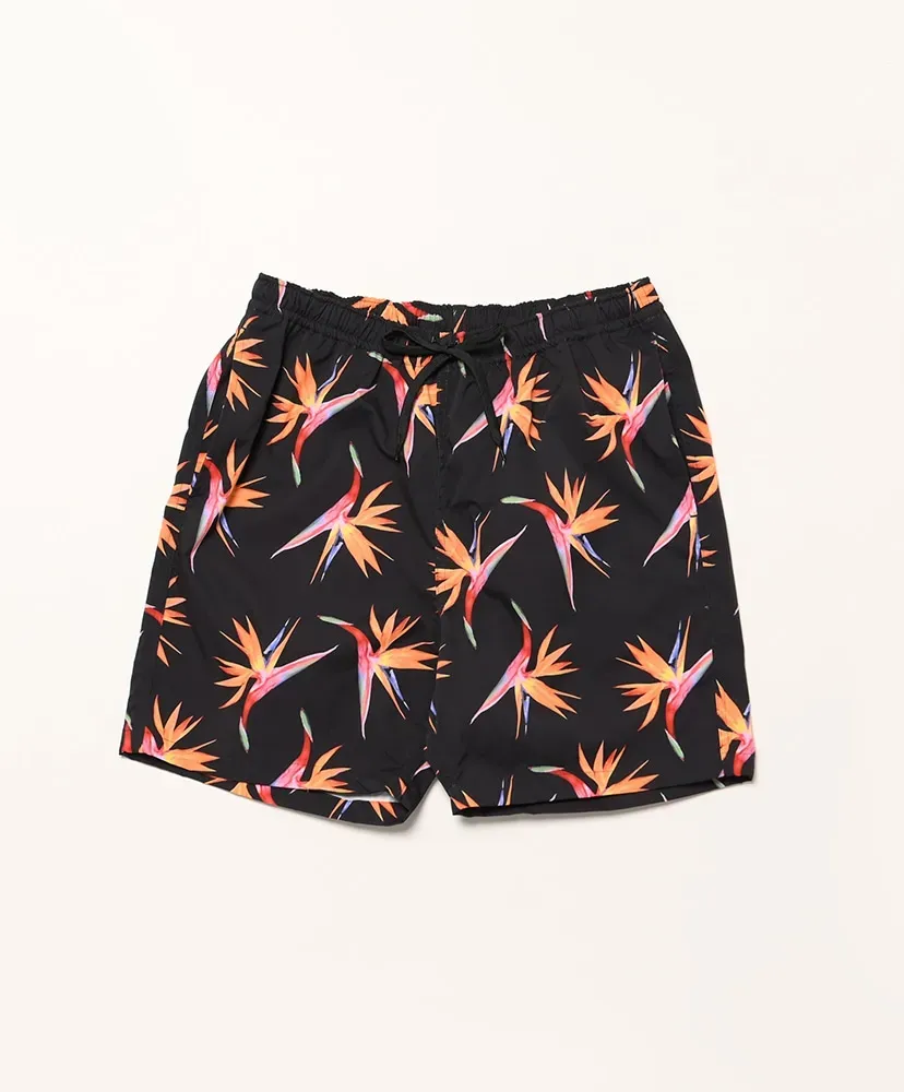 Birds Of Paradise Beach
